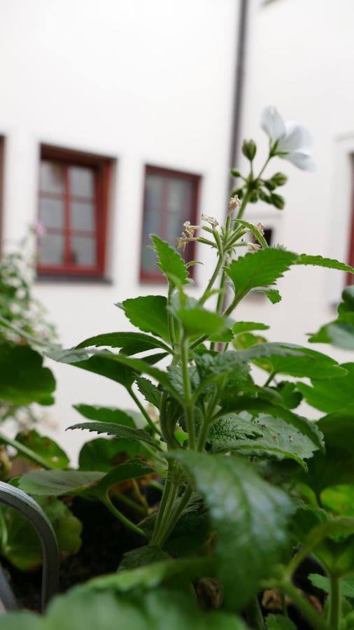 Apartment Altstadtgeflüster
